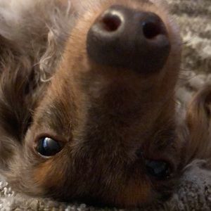 Meet your Posher, Jordan